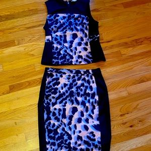 Club Monaco skirt and top set